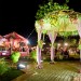 Events & Bands Portfolio Photographs 1a